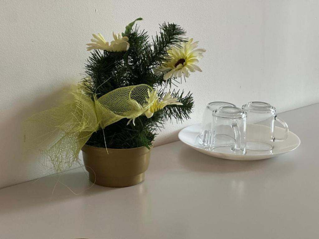 Ionia Apartment-stary Rynek Apartment